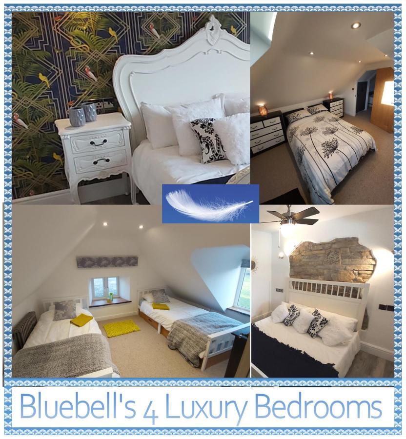 Bluebell House 5 Star Holiday Let Villa Somerton  Dış mekan fotoğraf